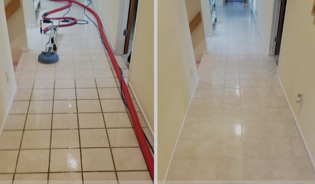 Servizio pulizia Perla Nera